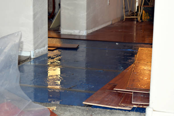 Professional Flood Cleanup technician working in North Hampton, NH